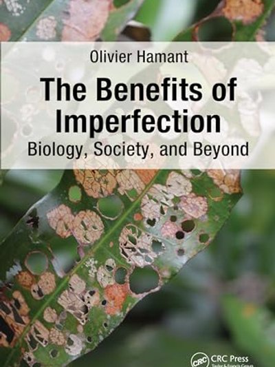 Benefits of Imperfection