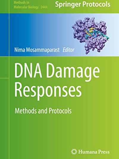 DNA Damage Responses