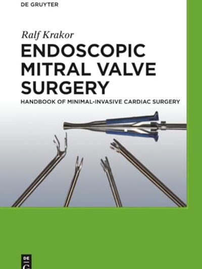Endoscopic mitral valve surgery