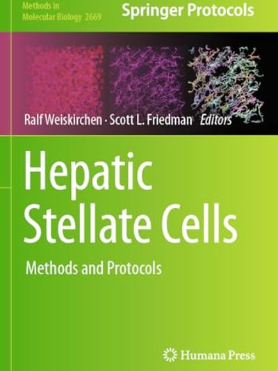 Hepatic Stellate Cells