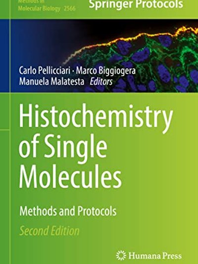 Histochemistry of Single Molecules