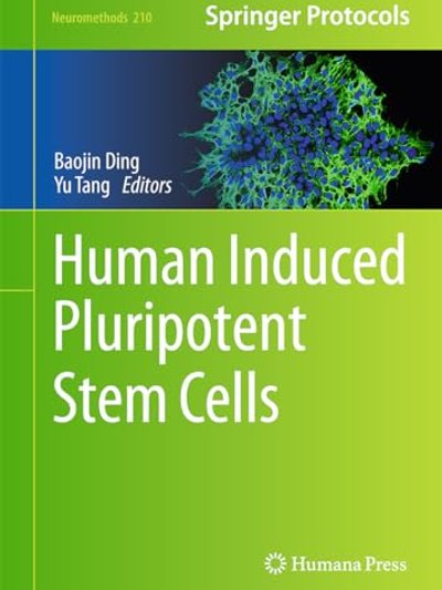 Human Induced Pluripotent Stem Cells