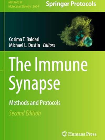 Immune Synapse