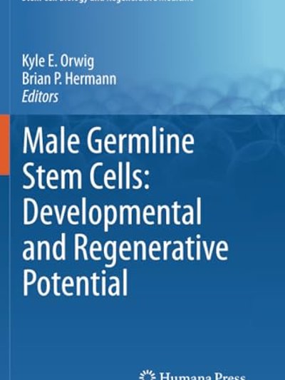 Male Germline Stem Cells : Developmental and Regenerative Potential