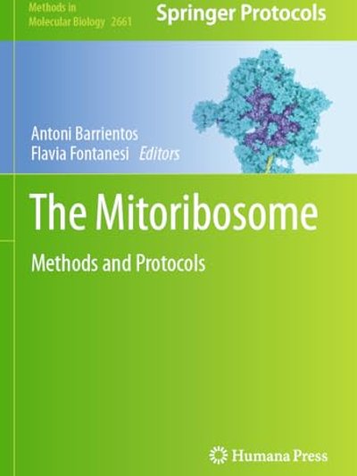 Mitoribosome