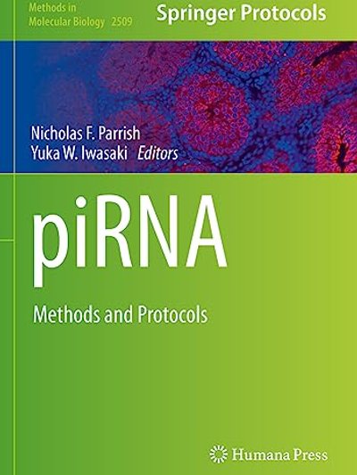 PiRNA