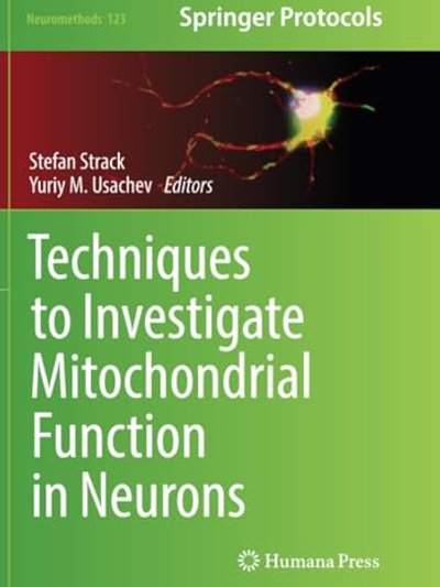 Techniques to Investigate Mitochondrial Function in Neurons