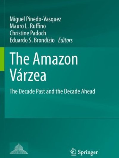The Amazon várzea