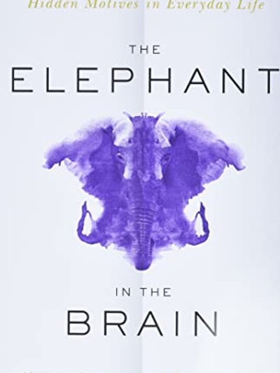 The elephant in the brain