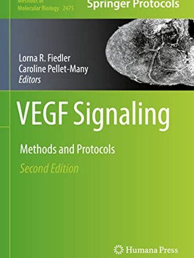 VEGF Signaling
