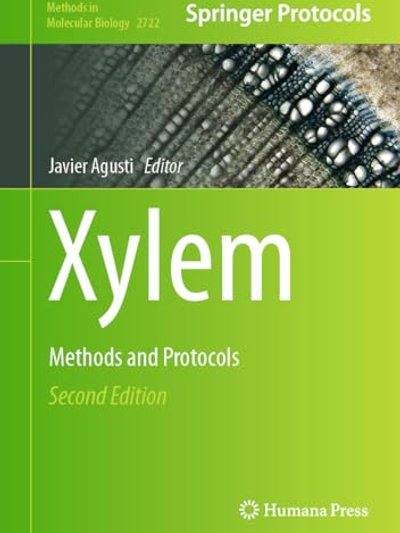 Xylem